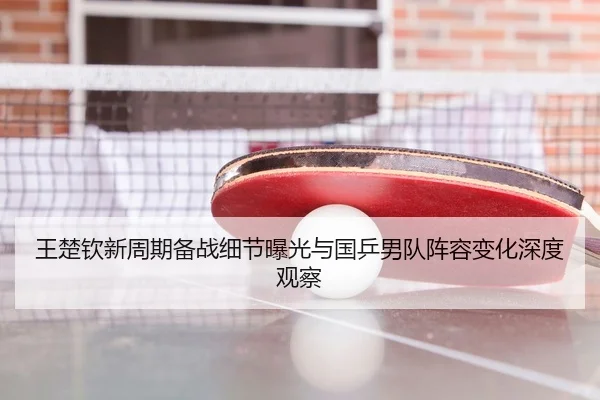 王楚钦新周期备战细节曝光与国乒男队阵容变化深度观察